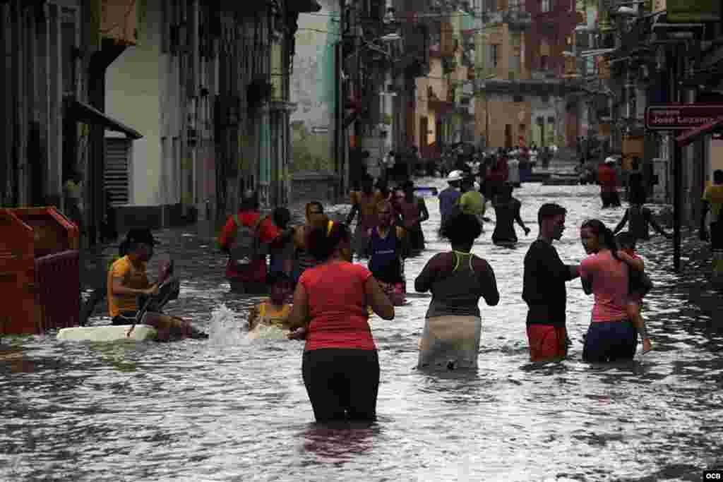 Afectaciones de Irma en La Habana. Foto Elio Delgado. 