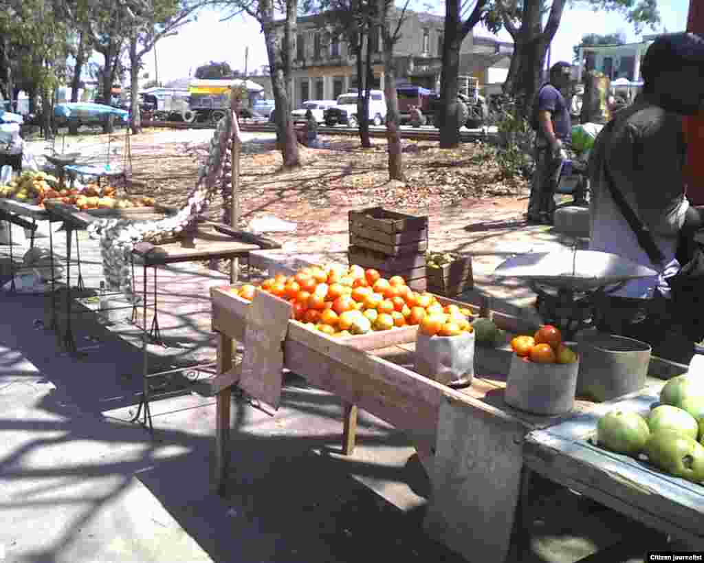 El reportero ciudadano de José R Borges recorre mercados privados&nbsp; de venta a la población en Cabaiguán, Sancti Spíritus.