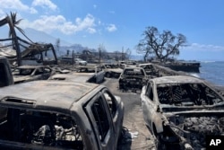 En esta fotografía cortesía de Tiffany Kidder Winn se pueden ver autos calcinados después del paso de un incendio, el miércoles 9 de agosto de 2023, en Lahaina, Hawai. (Tiffany Kidder Winn via AP)