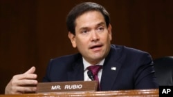 Sen. Marco Rubio, republicano por Florida, durante una audiencia en el Capitolio, el 5 de mayo de 2020. AP Photo/Andrew Harnik