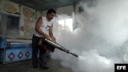 ARCHIVO. Un hombre fumiga una pescadería contra el Aedes Aegypti (mosquito transmisor del dengue).