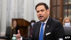 El senador republicano por la Florida, Marco Rubio. 