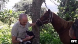 El científico cubano Ariel Ruiz Urquiola regresa a Viñales tras recuperarse de prolongada huelga de hambre. (Captura de video/El Estornudo)