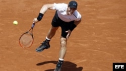 Andy Murray.