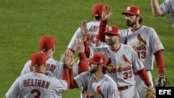 Jugadores de los Cardenales de San Luis.