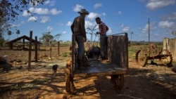 Decomisos en Cuba