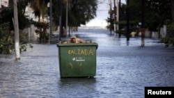 Un contenedor de basura.