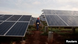 Un trabajador camina entre filas de paneles solares en un parque en las afueras de La Habana, el 24 de septiembre de 2013. (REUTERS/Archivo)