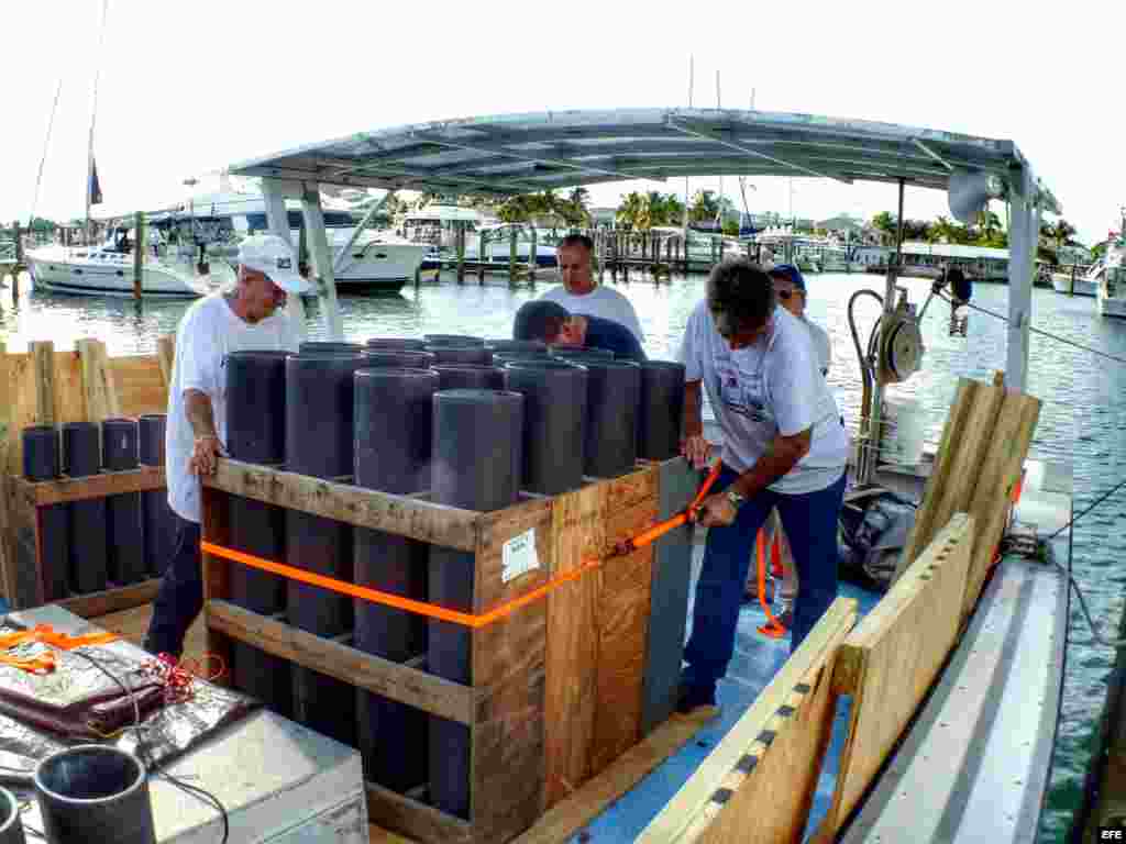 La flotilla zarpó el sábado 12 de julio de 2014, de Cayo Hueso, Florida